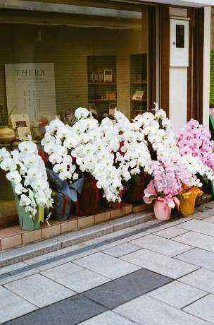 Florist assistant