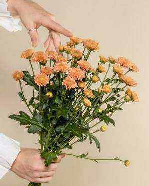 Hand-tied native stems bouquet