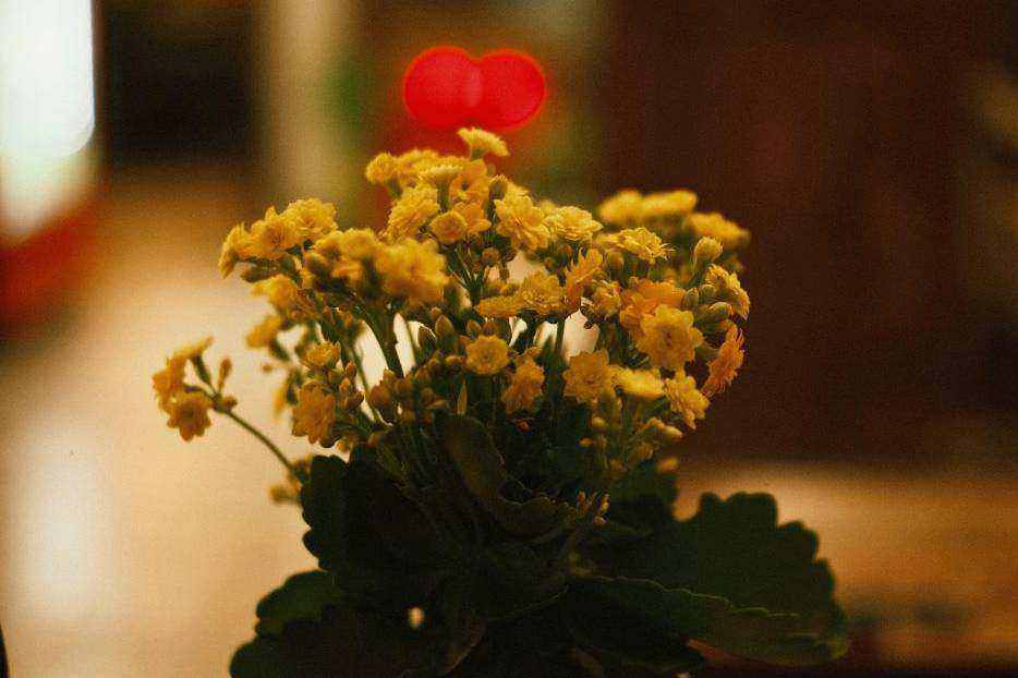 Floral design workshop background