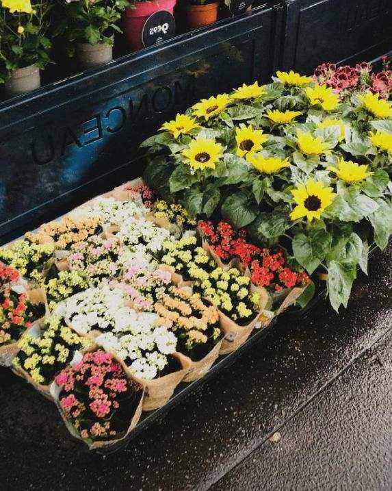Advanced floristry Hobart hero