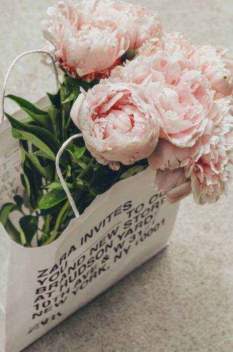 Hobart studio flowers